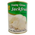 YOUNG GREEN JACKFRUIT IN SYRUP