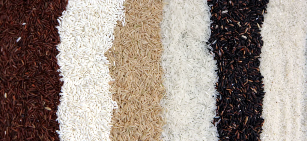 Assortment of rice grains in various colors.