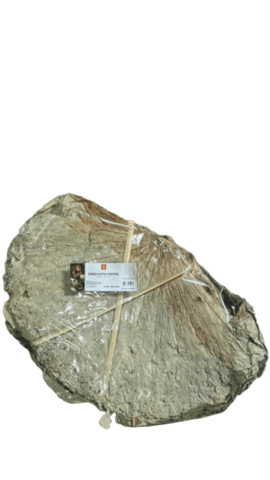 Dried lotus leaves in plastic packaging.