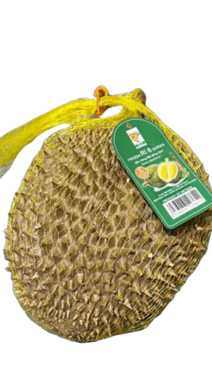Frozen Ri 6 durian in net bag.