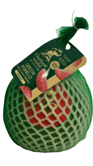 Green pomelo in protective netting.