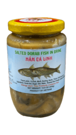 Salted Dorab fish in brine jar.