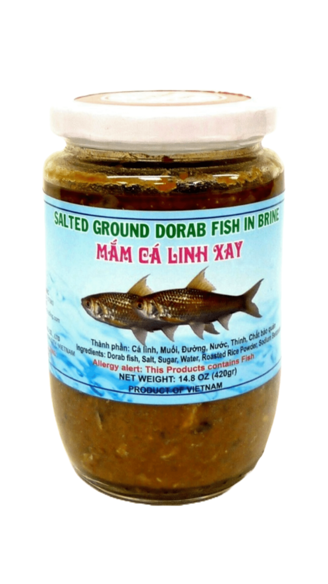 Salted ground dorab fish in brine jar.