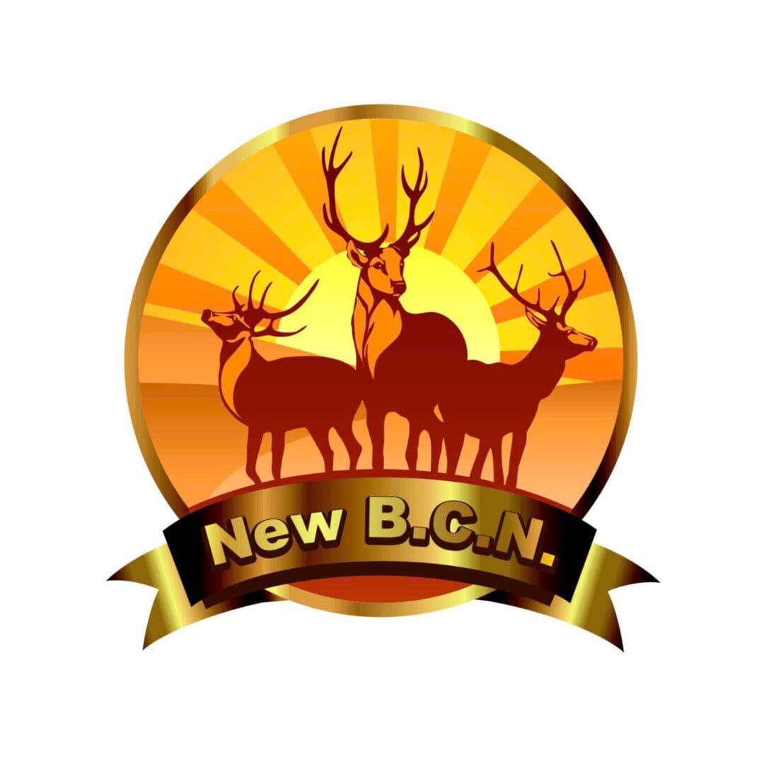 New BCN | 鹿牌
